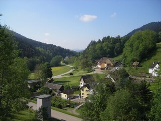 View over the small Kinzig valley from the balcony
