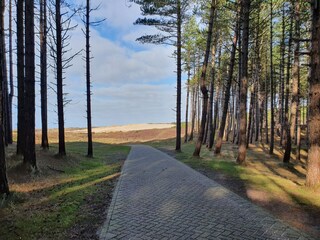 Appartamento per vacanze Bergen aan Zee Ambiente 13
