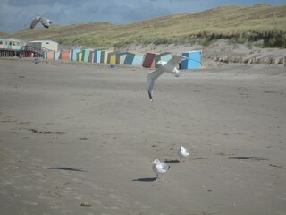 Casa per le vacanze Callantsoog Ambiente 20