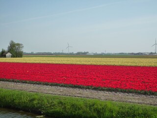 Casa per le vacanze Callantsoog Ambiente 22