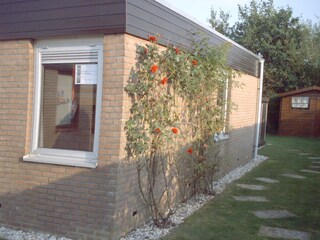 Casa per le vacanze Callantsoog Registrazione all'aperto 4