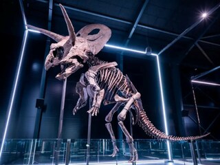 Castello Sakskøbing Ambiente 24