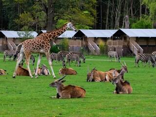 Knuthenborg Safaripark