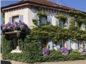 Appartement de vacances confortable dans la cave - Vogtsbourg - image1