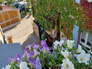 Apartment Vogtsburg Außenaufnahme 7