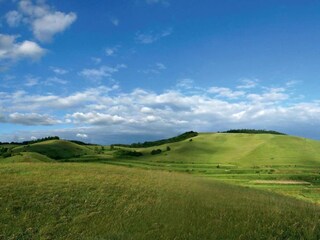 Appartement Vogtsburg Omgeving 29