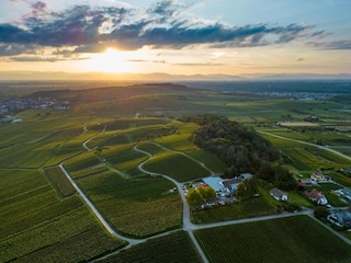 Apartment Vogtsburg Umgebung 19