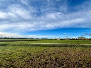 Appartement Vogtsburg Environnement 25