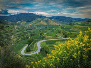 Appartamento Vogtsburg Ambiente 21