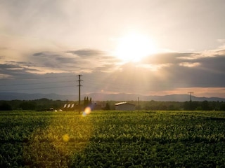 Apartment Vogtsburg Umgebung 38