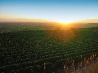 Appartamento Vogtsburg Ambiente 29