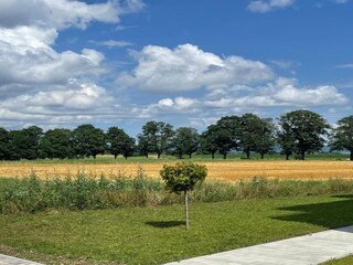 Appartement Vogtsburg Omgeving 21