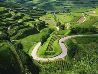 Appartamento Vogtsburg Ambiente 35