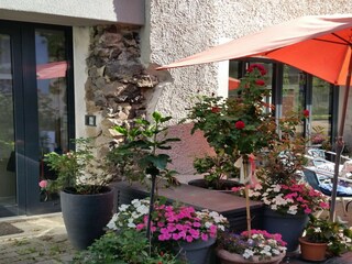 Appartement Vogtsburg Enregistrement extérieur 3