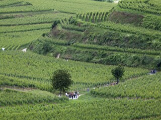 Apartamento Vogtsburg Entorno 24