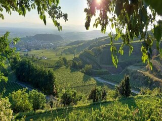 Appartement Vogtsburg Environnement 35