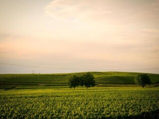 Apartamento Vogtsburg Entorno 19