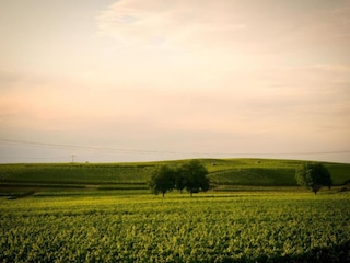 Apartment Vogtsburg Umgebung 29