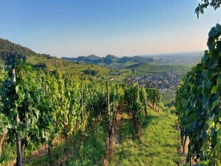 Appartamento Vogtsburg Ambiente 27