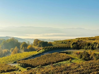 Apartment Vogtsburg Umgebung 21