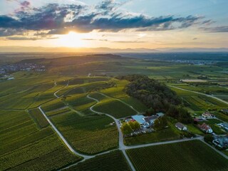 Appartamento Vogtsburg Ambiente 21