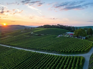 Apartamento Vogtsburg Entorno 27