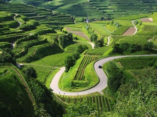 Apartment Vogtsburg Umgebung 26