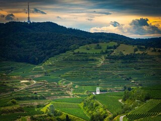 Appartamento Vogtsburg Ambiente 29