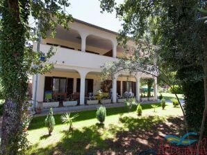 Apartment Appartement א Vantacici prטs de la mer