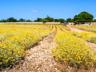 Appartamento Omišalj Ambiente 14