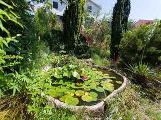 Apartment Malinska Outdoor Recording 3