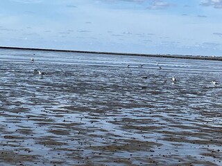 Norddeich bei Ebbe