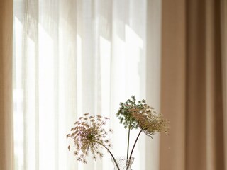 Villa Dassia Caratteristiche 27