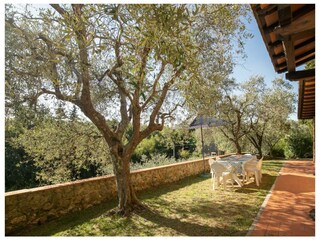 Ferienhaus Massarosa Umgebung 13