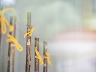 Casa per le vacanze Steinhaus im Ahrntal Caratteristiche 24