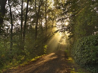 Casa per le vacanze Noardburgum Ambiente 18