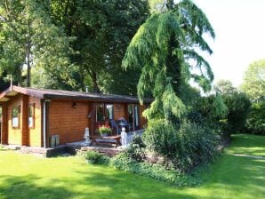 Holiday park Cozy chalet with gas fireplace, in the Achterhoek - Ootmarsum - image1