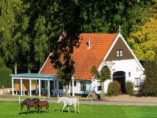Ferienpark Ootmarsum Außenaufnahme 7