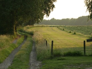 Parque de vacaciones Ootmarsum Entorno 17