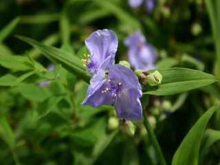 Parco vacanze Ootmarsum  32