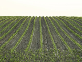 Ferienpark Ootmarsum Umgebung 18
