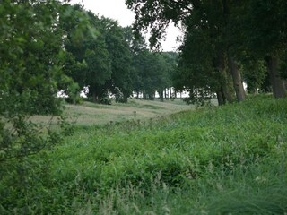 Ferienpark Ootmarsum Umgebung 18