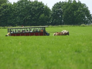 Ferienpark Ootmarsum Umgebung 19