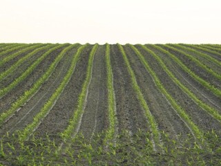 Ferienpark Ootmarsum Umgebung 28