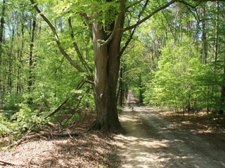 Parc de vacances Ootmarsum Environnement 23