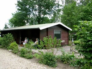 Cosily furnished chalet with microwave, in a holiday park in Twente - Ootmarsum - image1