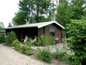 Chalet confortablement meublé avec micro-ondes dans un parc de vacances à Twente - Ootmarsum - image1