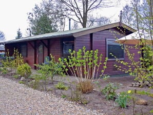 Holiday park Tidy chalet with a microwave, in the Achterhoek - Ootmarsum - image1