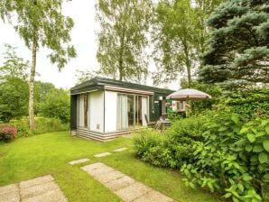 Holiday park Cosy chalet with gas fireplace in Twente - Ootmarsum - image1