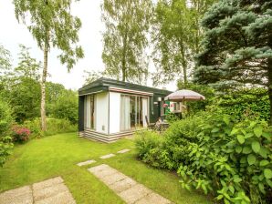 Parc de vacances Chalet confortable avec foyer au gaz à Twente - Ootmarsum - image1